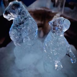 Walker Llewellyn WildConnectionsPhotography IglooWeddingWayneMichelle129 low - This igloo wedding in Austria will warm your cold, cold heart This igloo(!) wedding in Austria will warm your cold, cold heart