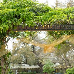 Les bons temps rouler at this New Orleans, LA wedding with food trucks and a sweet first look