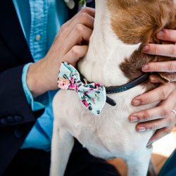 Kiefer Day WeChoosetheMoonPhotography IMG0719ab low - An intimate Derby Day wedding (with handmade rings!) An intimate Derby Day in Kentucky wedding (with handmade rings!)