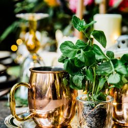 1800W 0D0A7147 - A summer solstice glamping elopement in the redwoods A summer solstice glamping elopement in the redwoods
