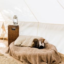 1800W 0D0A7155 - A summer solstice glamping elopement in the redwoods A summer solstice glamping elopement in the redwoods
