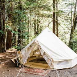 1800W 0D0A7274 - A summer solstice glamping elopement in the redwoods A summer solstice glamping elopement in the redwoods