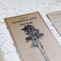 1800W 0D0A7392 - A summer solstice glamping elopement in the redwoods A summer solstice glamping wedding in the redwoods