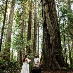 1800W 0D0A7932 - A summer solstice glamping elopement in the redwoods A summer solstice camping wedding in the redwoods