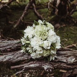 AM 087 - A tiny secret wedding on a forest mountaintop in Tasmania A tiny destination wedding on a forest mountaintop in Tasmania