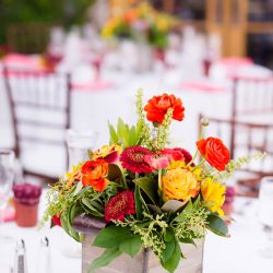 Hartfield Serrano ChloeJackmanPhotography ChloeJackmanPhotographyClosLaChanceWedding20171316 low - Let's pretend we're sipping vino at this wine country wedding in California A winery California wedding at Clos LaChance Winery