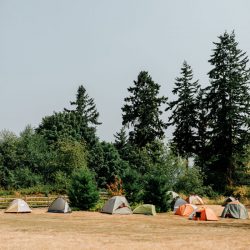 StolenGlimpses ElsieAndDilphe 2 - A Malagasy-American intimate Whidbey Island backyard wedding A Malagasy-American intimate Whidbey Island backyard wedding