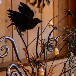 Tiffany Matthews Favorites 0003 - A vintage-inspired Halloween wedding ball (with classic horror movie photo booths!) A vintage Halloween spooky wedding