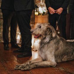 wedding 24217039078 o - Get lost in the dark dreaminess of this elegant atmospheric wedding Get lost in the dark dreaminess of this elegant atmospheric wedding