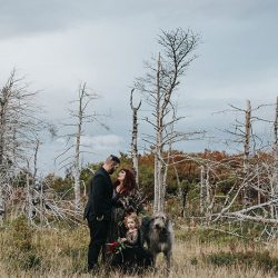 wedding 37359772124 o - Get lost in the dark dreaminess of this elegant atmospheric wedding Get lost in the dark dreaminess of this elegant wedding