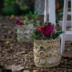 26864702649 99914a3878 k - A fairylit wedding in the woods (with flower kitty and folk dancing) A fairylit wedding in the woods (with flower kitty and folk dancing)