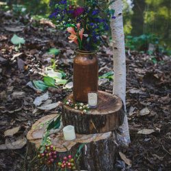 37752868845 3d736cf8ba k - A fairylit wedding in the woods (with flower kitty and folk dancing) A fairylit wedding in the woods (with flower kitty and folk dancing)