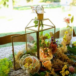 37922784944 46d921c6d9 k - A fairylit wedding in the woods (with flower kitty and folk dancing) A fairylit wedding in the woods (with flower kitty and folk dancing)