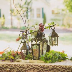38584163176 abbeeb1fa0 k - A fairylit wedding in the woods (with flower kitty and folk dancing) A fairylit wedding in the woods (with flower kitty and folk dancing)
