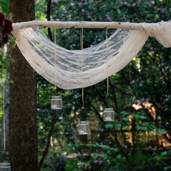 38584381476 ac26251338 k - A fairylit wedding in the woods (with flower kitty and folk dancing) A fairylit wedding in the woods (with flower kitty and folk dancing)
