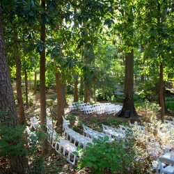 38640458751 47093f3ee5 k - A fairylit wedding in the woods (with flower kitty and folk dancing) A fairylit wedding in the woods (with flower kitty and folk dancing)