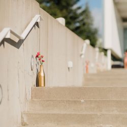 Kamath Chen CourtneyBowldenPhotography neenaalbert341 low - Three cultures combine at this radiant sculpture park wedding in Seattle Three cultures combine at this radiant wedding