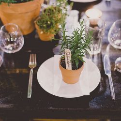RECEPTION 6039 - Get lost in the greenery at this herbal garden wedding (and see how they scored the perfect disability-friendly venue!) Get lost in the greenery at this herb themed wedding
