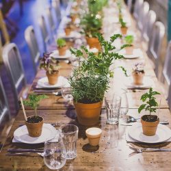 RECEPTION 6044 - Get lost in the greenery at this herbal garden wedding (and see how they scored the perfect disability-friendly venue!) Get lost in the greenery at this herb themed wedding