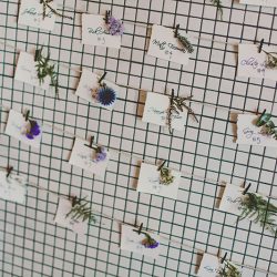 RECEPTION 6080 - Get lost in the greenery at this herbal garden wedding (and see how they scored the perfect disability-friendly venue!) Get lost in the greenery at this herb themed wedding