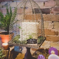 RECEPTION 6383 - Get lost in the greenery at this herbal garden wedding (and see how they scored the perfect disability-friendly venue!) Get lost in the greenery at this herb themed wedding