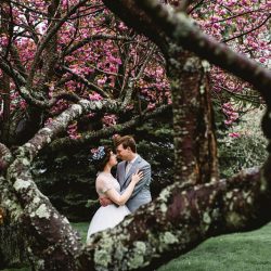 Have tea at this vintage-inspired wedding with the "dress-cued" vintage dress of our dreams