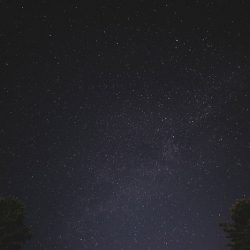 Poconos nature-filled camp wedding
