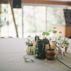 Poconos nature-filled camp wedding