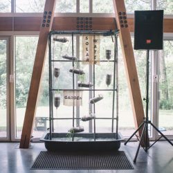 Poconos nature-filled camp wedding