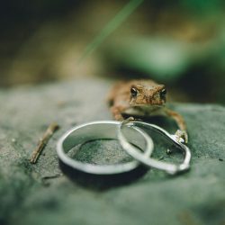 Poconos nature-filled camp wedding