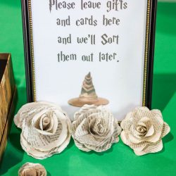 Sellner Varady RachelWordPhotography ReceptionDecor0001 low 1 - Find your favorite fandom in this sci-fi and fantasy wedding in Maryland Sellner Varady RachelWordPhotography ReceptionDecor0001 low 1