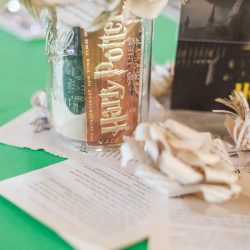 Sellner Varady RachelWordPhotography ReceptionDecor0033 low 1 - Find your favorite fandom in this sci-fi and fantasy wedding in Maryland Sellner Varady RachelWordPhotography ReceptionDecor0033 low 1