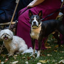 2017 10 13 Sydnei Kevin Married 374 - A glam & rustic Friday the 13th wedding A glam & rustic Friday the 13th wedding