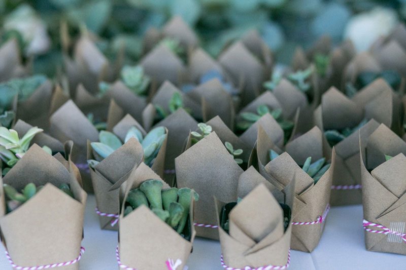 Two brides had the sweetest farm DIY wedding you'll have seen yet