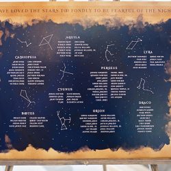Stars meets nature: a subtly geeky lakeside wedding