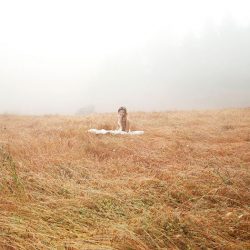 40682056751 ffdaa62379 k - A handmade Victorian picnic wedding in the mountains (with the most gorgeous rain & mist photos!) A handmade Victorian picnic wedding in the mountains (with the most gorgeous rain & mist photos!)