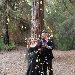 00085 faves - This elopement had a Halloween AND a unicorn theme This elopement had a Halloween AND a unicorn theme