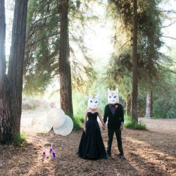 00097 faves - This elopement had a Halloween AND a unicorn theme This elopement had a Halloween AND a unicorn theme