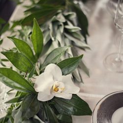 This Denver wedding inspiration channels sleek color, holiday vibes, and 420-friendly favors