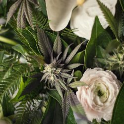 This Denver wedding inspiration channels sleek color, holiday vibes, and 420-friendly favors