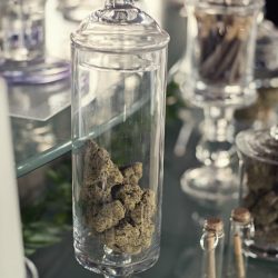 This Colorado wedding inspiration channels sleek color, holiday vibes, and 420-friendly favors
