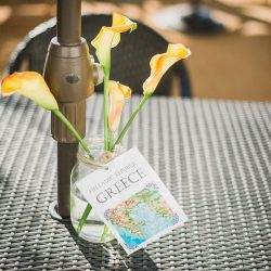Let's watch the voyage of this travel-themed queer wedding