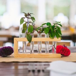 Heatwole Rosenberg RobKristenPhotography DanielZoe0371KT2F6353 low - NYC illustrators create a colorful farm wedding in North Carolina NYC illustrators create a farm wedding in North Carolina