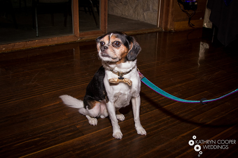 Clashes of steel at this choose-your-own-adventure warrior wedding complete with a quest