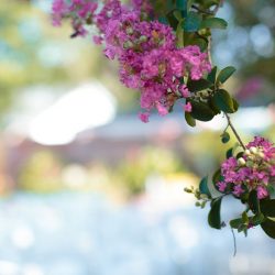 ThistleTwine Blog Amy Chris 29 - Southern bbq & a fab flower crown at this intimate Savannah backyard wedding Naked cake, bbq, & a fab flower crown at this intimate Savannah backyard wedding