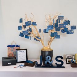 Succulents, wishing trees, & a zither at this California wedding