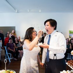 Succulents, wishing trees, & a zither at this California wedding
