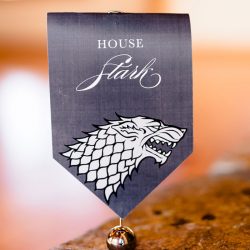 Jon Snow & Ygritte's happy ending: Game of Thrones-inspired wedding