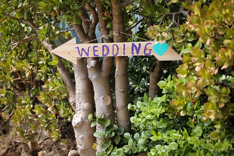 Tip a hat to this peacock, cowboys wedding in San Diego