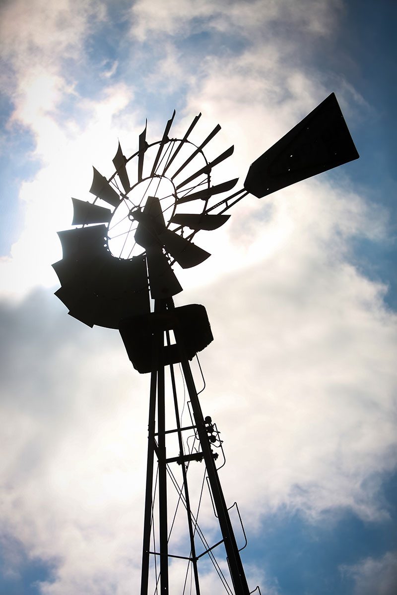 Tip a hat to this peacock, cowboys wedding in San Diego